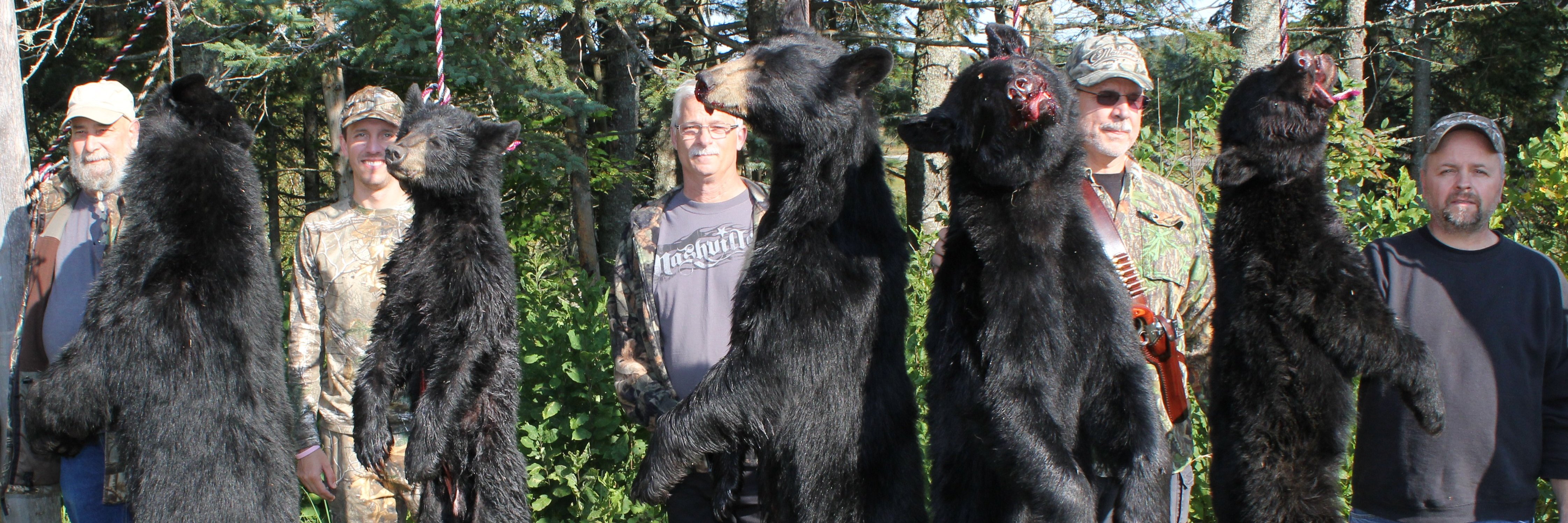 maine bear hunting with bow