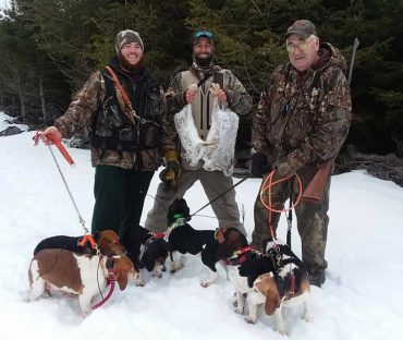 rabbit hunting at Foggy Mountain